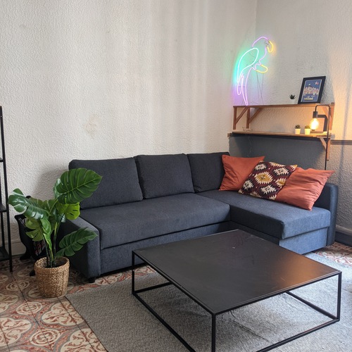 Salon cosy neon perroquet — Coliving Chalucet